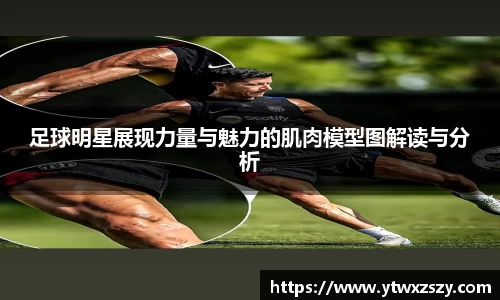 足球明星展现力量与魅力的肌肉模型图解读与分析
