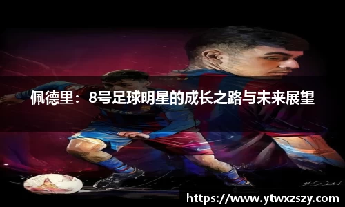 必一运动bsports体育